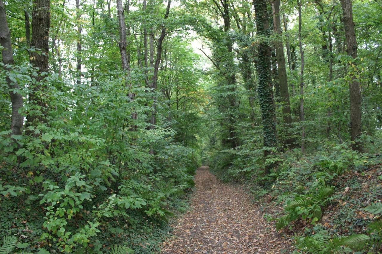 Pitchounette Chaumont-Gistoux Esterno foto