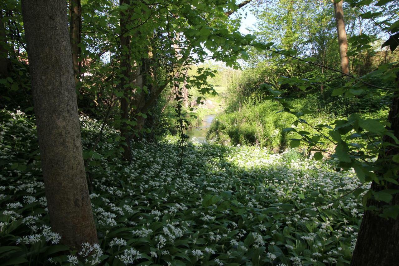 Pitchounette Chaumont-Gistoux Esterno foto